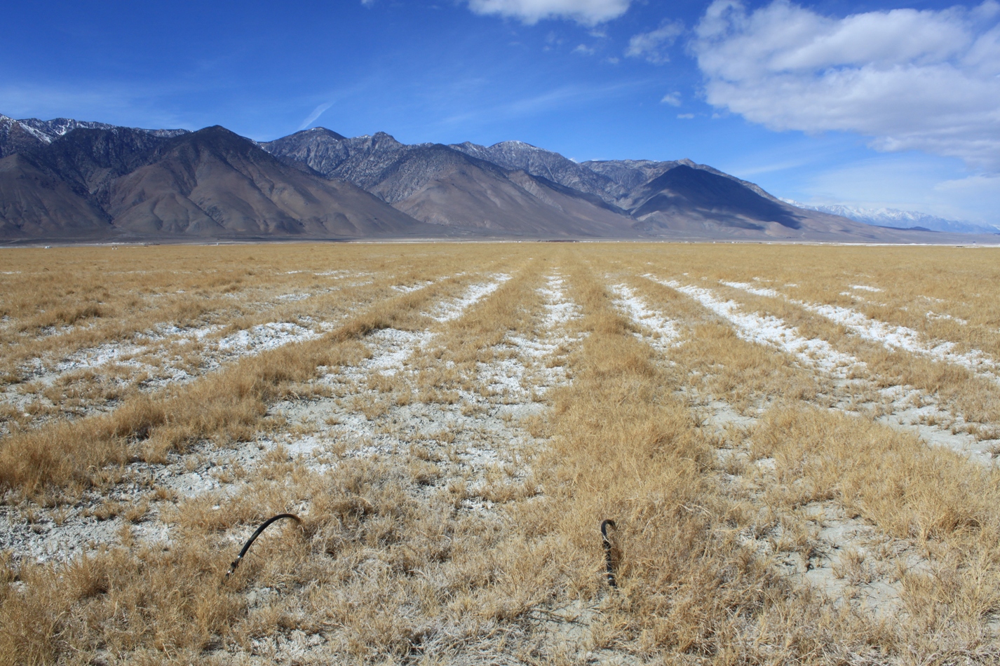 Owens Lake Managed Vegetation BACM