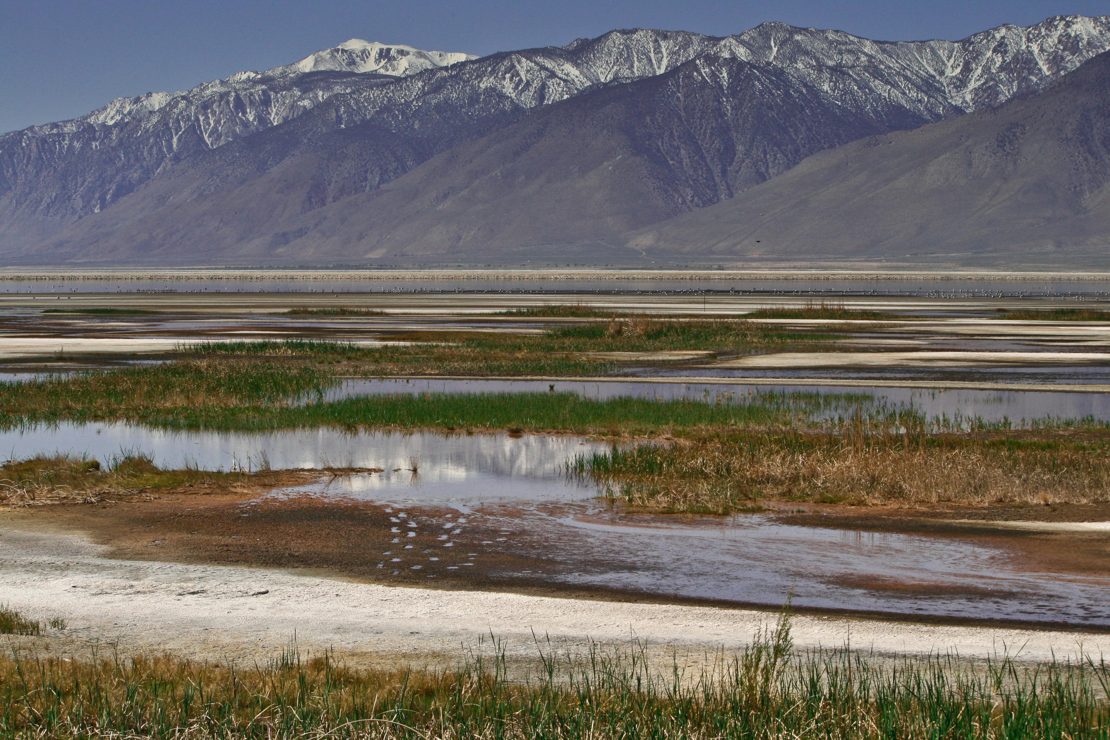 Owens Lake Shallow Flooding